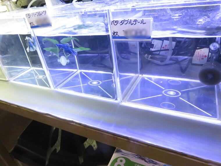 西武池袋本店9F屋上フィッシュショップ