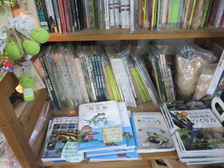 ワイルドスカイ