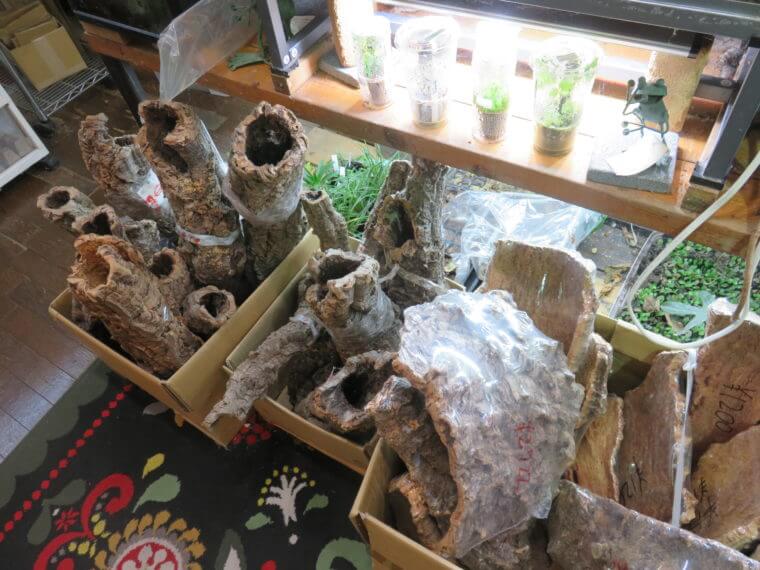 ワイルドスカイ