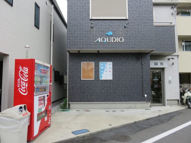 闘魚専門店AQUDIO(アクディオ)