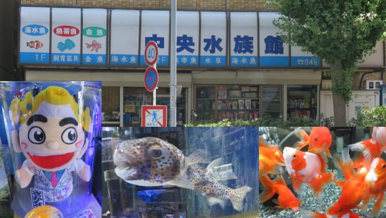 中央水族館
