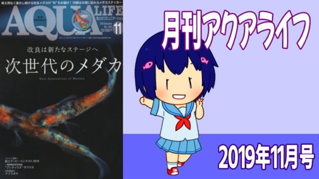 アクアライフ2019年11月号 次世代のメダカ