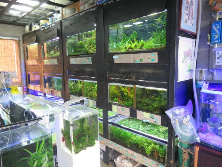 アクアカプセル