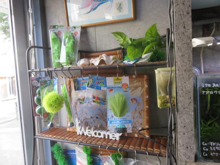 アクアカプセル