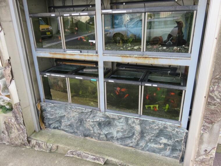 アクアカプセル