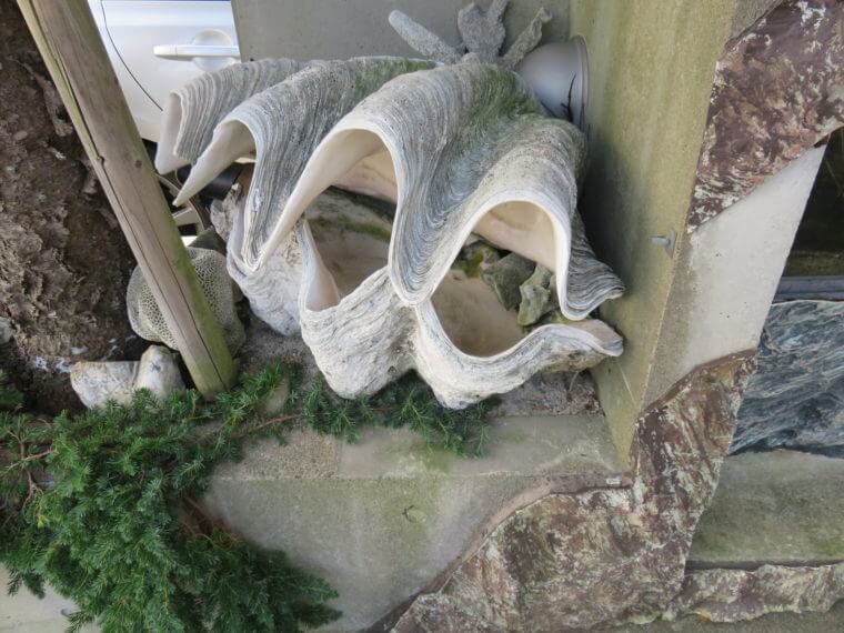 アクアカプセル