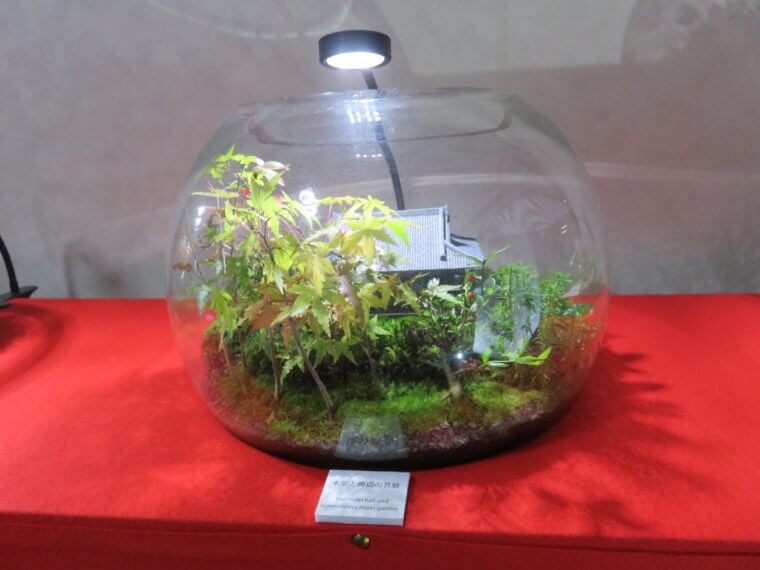 桂春院 コケ寺リウム