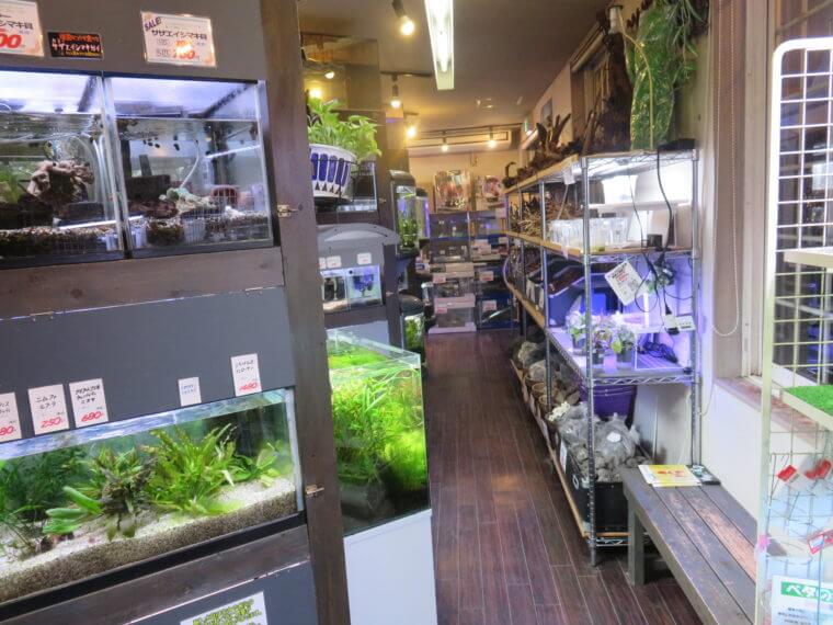 Aqua Jewelry マーサ