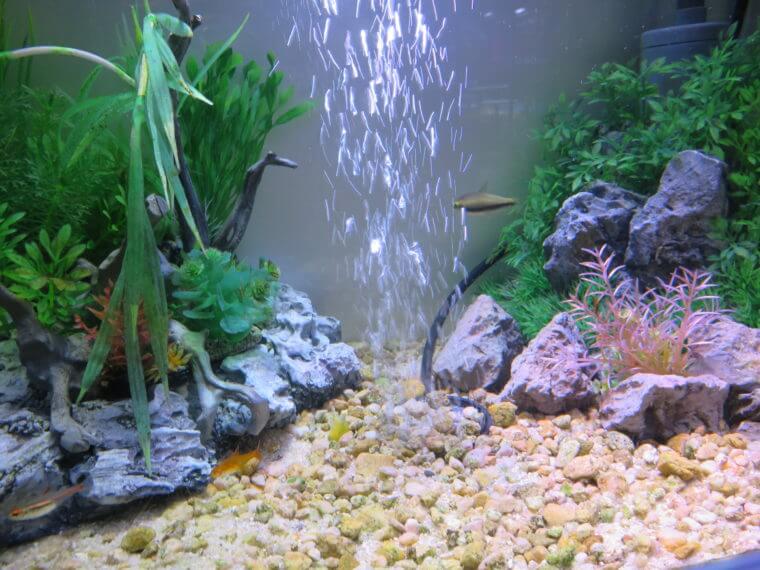 Aqua Jewelry マーサ