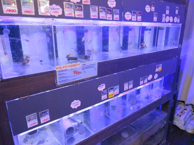 Aqua Jewelry マーサ