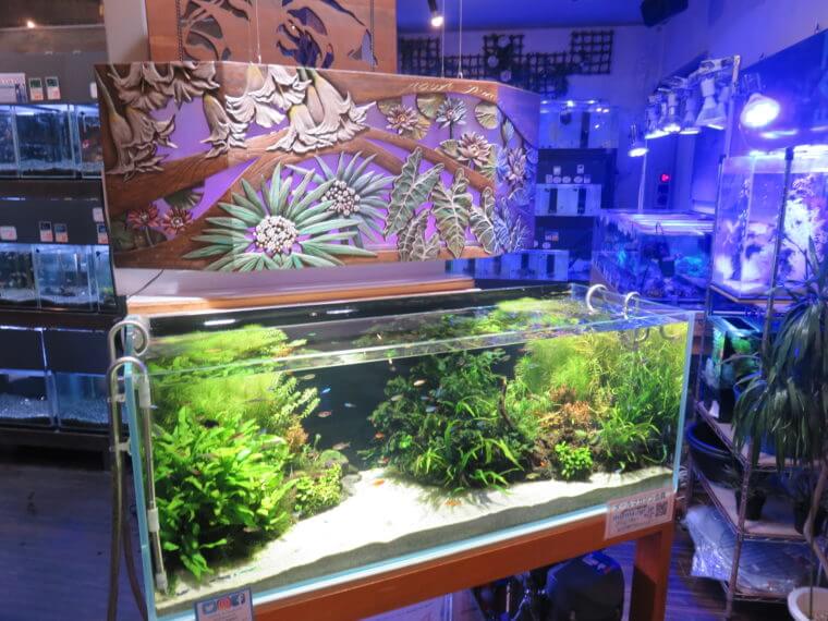 Aqua Jewelry マーサ