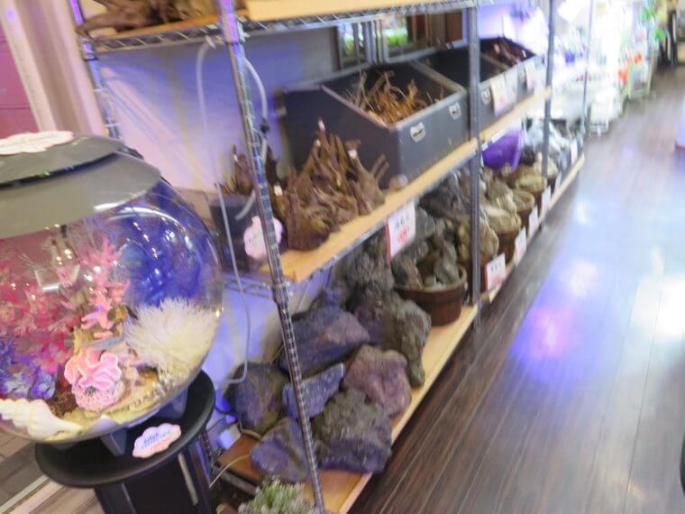 Aqua Jewelry マーサ