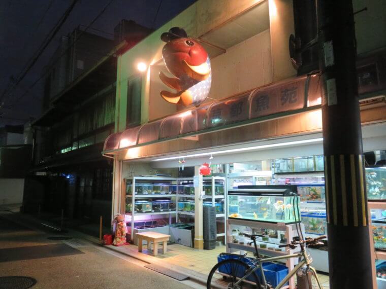 京都魚苑