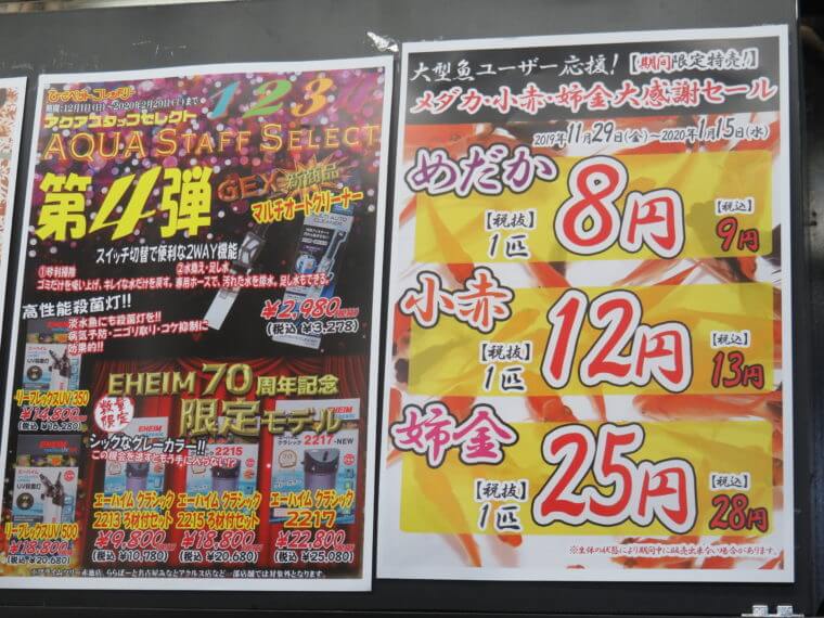 ひごペットフレンドリー京都店