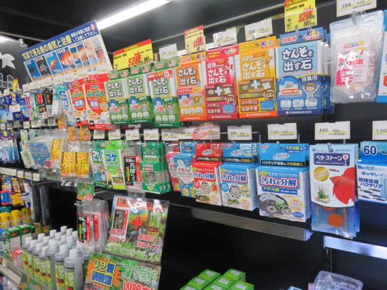 ひごペットフレンドリー京都店