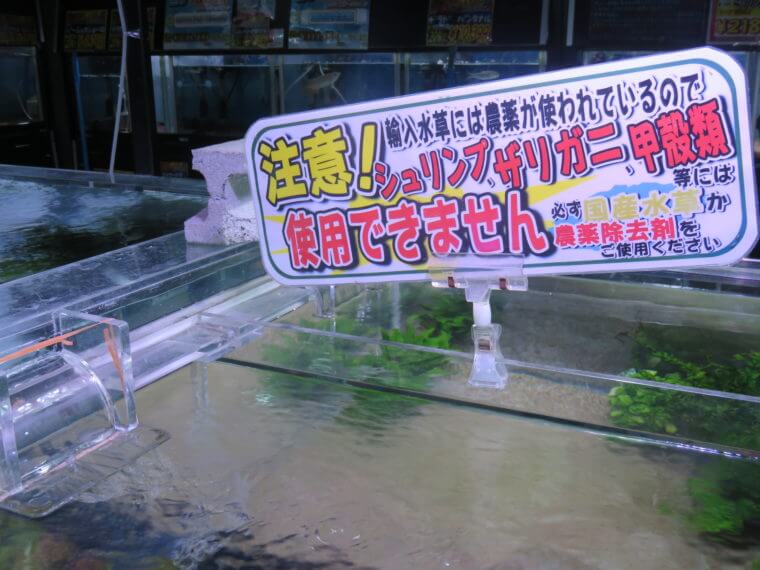 ひごペットフレンドリー京都店