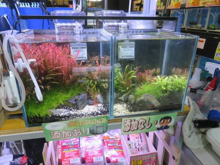 ひごペットフレンドリー京都店