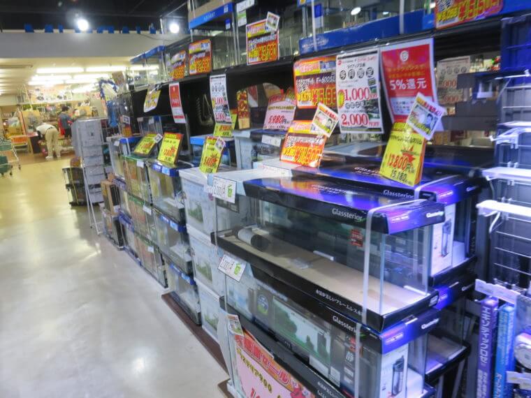 ひごペットフレンドリー京都店