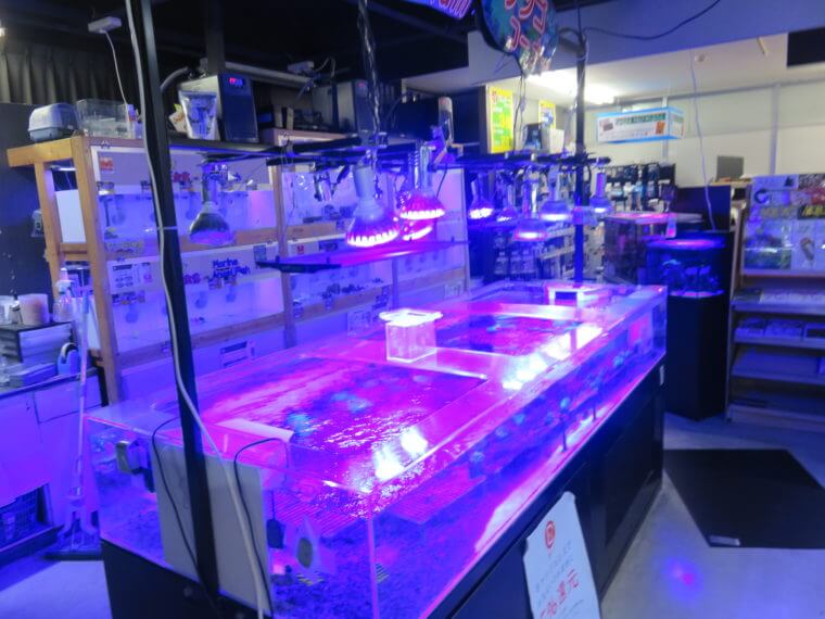 ひごペットフレンドリー京都店