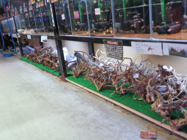 ひごペットフレンドリー京都店