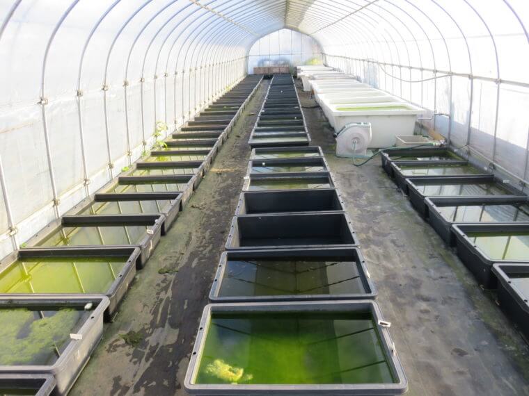 うなとろふぁ～む