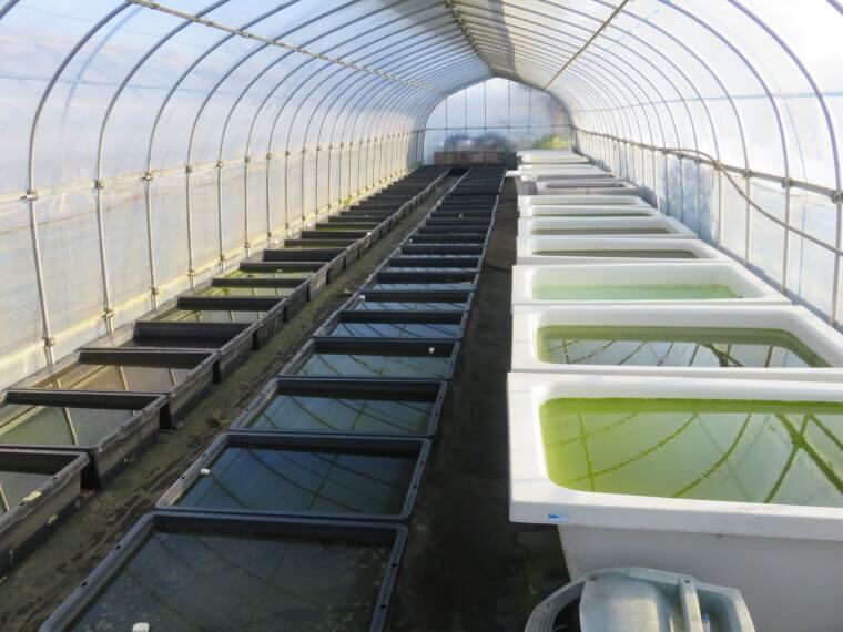 うなとろふぁ～む