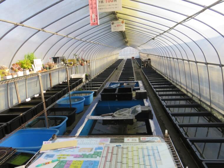 うなとろふぁ～む