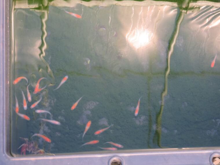 うなとろふぁ～む