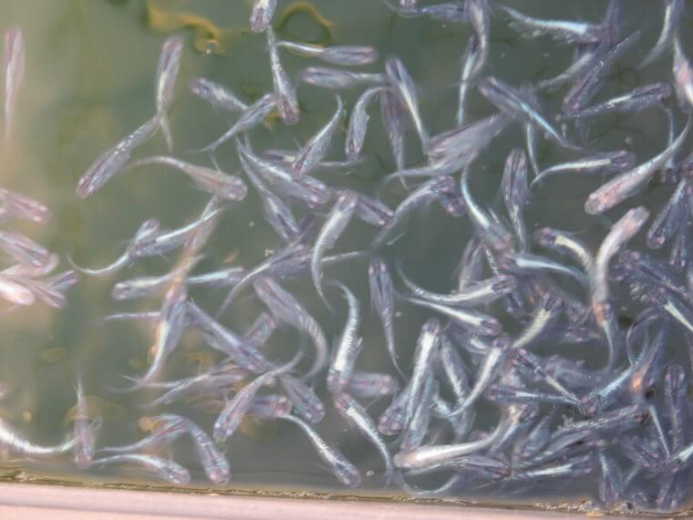 うなとろふぁ～む