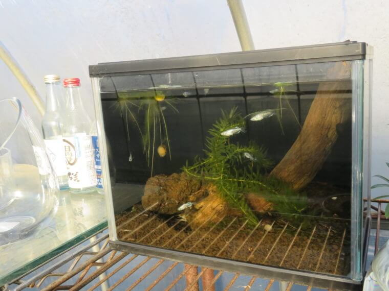 うなとろふぁ～む