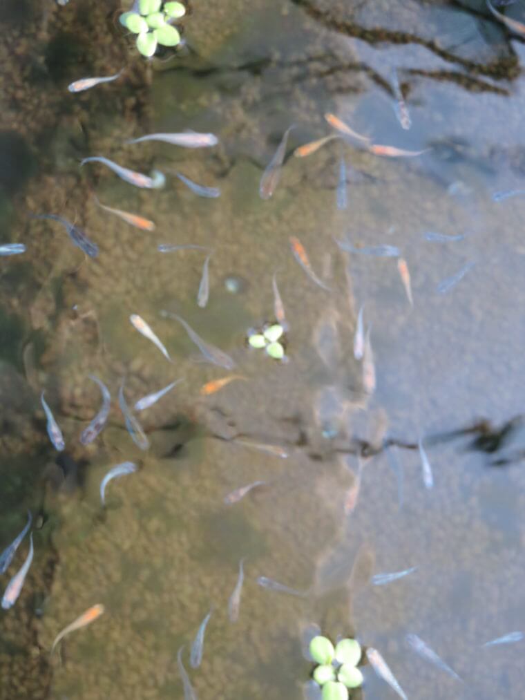 うなとろふぁ～む