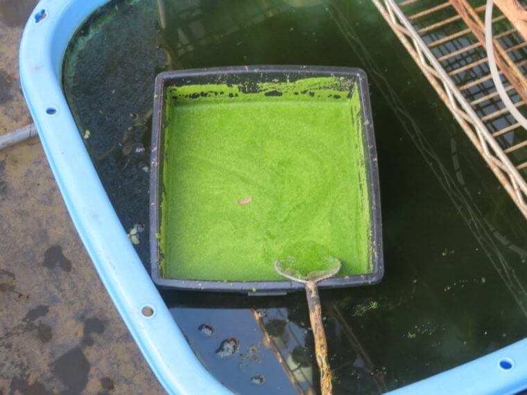 うなとろふぁ～む