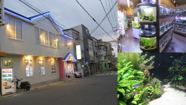 Aqua Jewelry マーサ