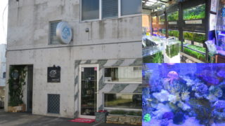 アクアカプセル