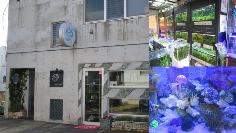 アクアカプセル