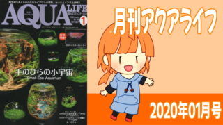 アクアライフ2020年01月号 手のひらの小宇宙（アクアリウム）