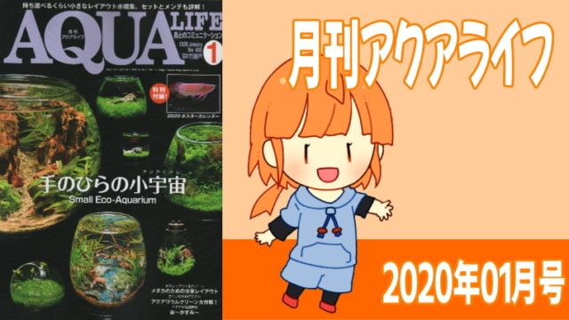 アクアライフ2020年01月号 手のひらの小宇宙（アクアリウム）