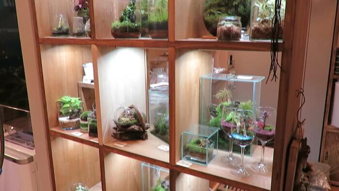 チャーム恵比寿店