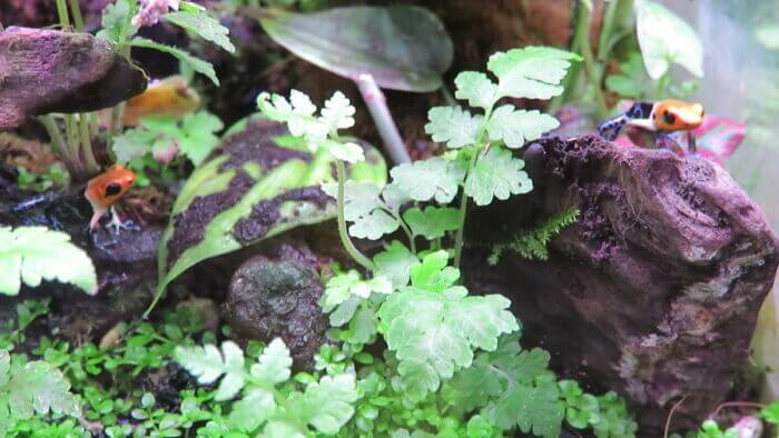 チャーム恵比寿店