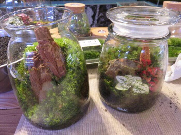 チャーム恵比寿店