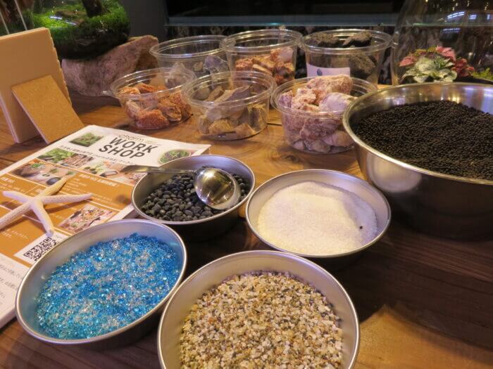 チャーム恵比寿店