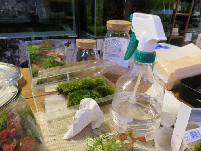 チャーム恵比寿店