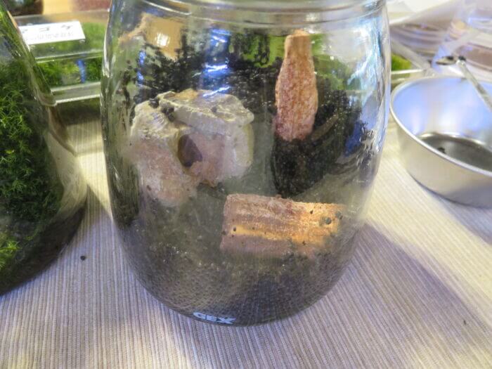 チャーム恵比寿店