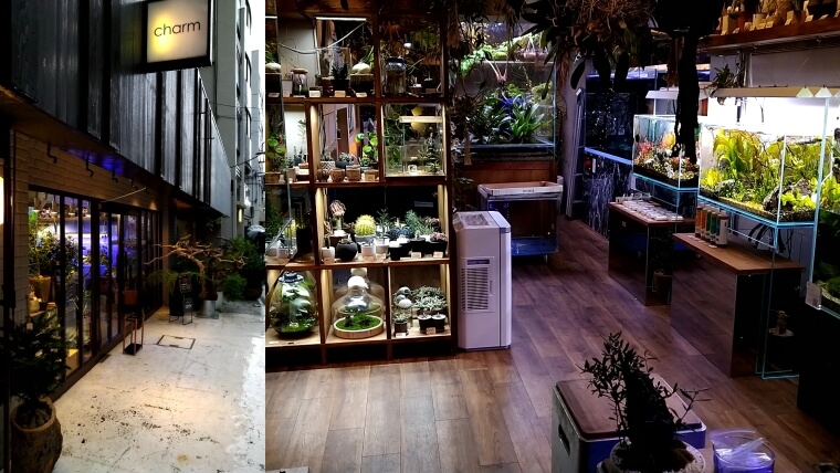 チャーム恵比寿店