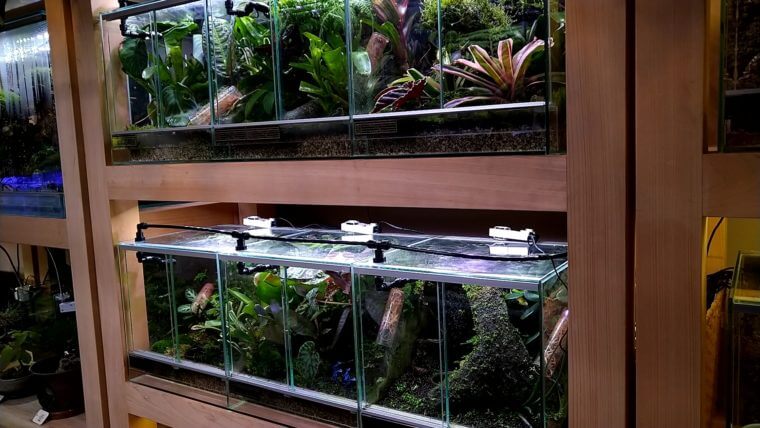 チャーム恵比寿店