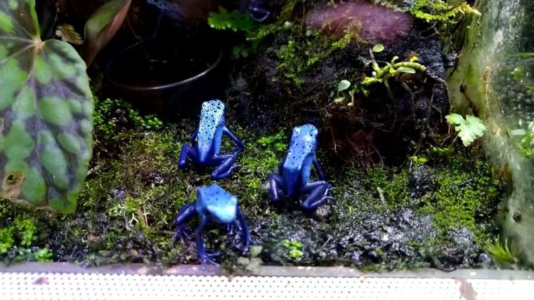 チャーム恵比寿店