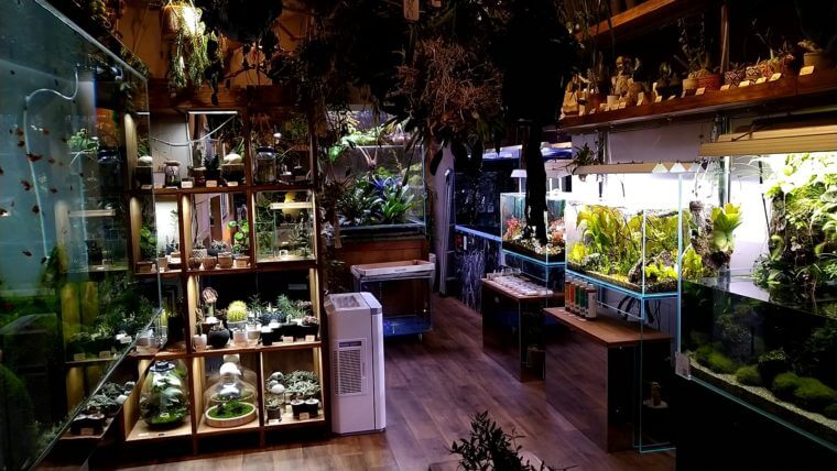 チャーム恵比寿店