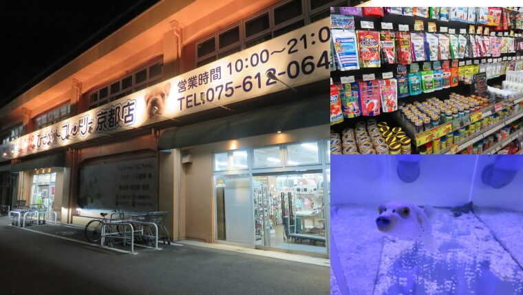 ひごペットフレンドリー京都店