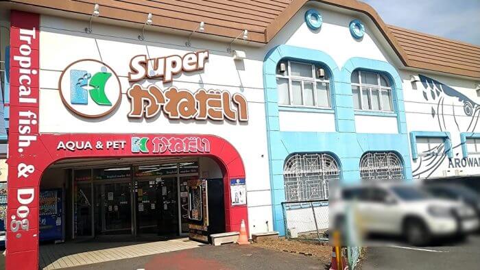 かねだい伊勢原店