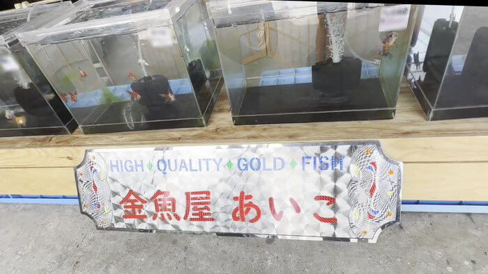 金魚屋あいこ 神奈川県横浜市神奈川区